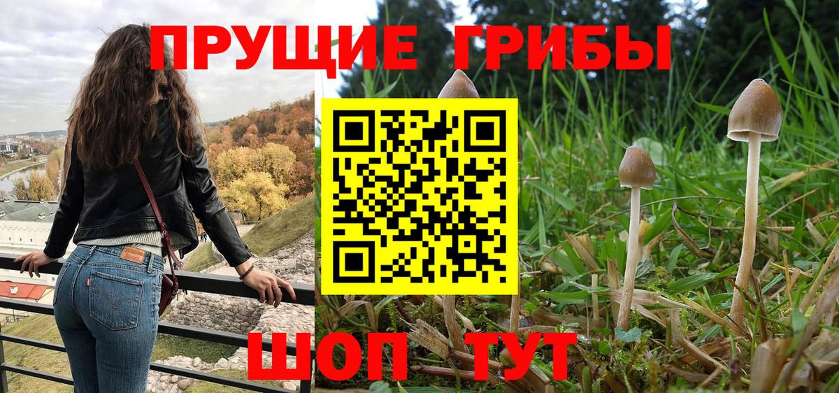 Псилоцибиновые грибы GOLDEN TEACHER Владивосток