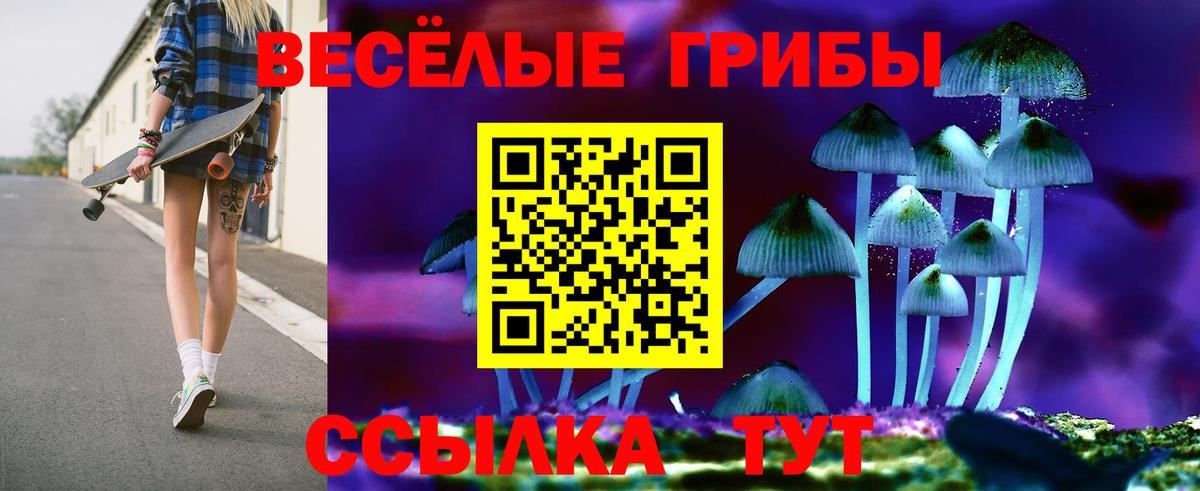 купить наркотики сайты  Вход с VPN  Владивосток  Псилоцибиновые грибы прущие грибы 