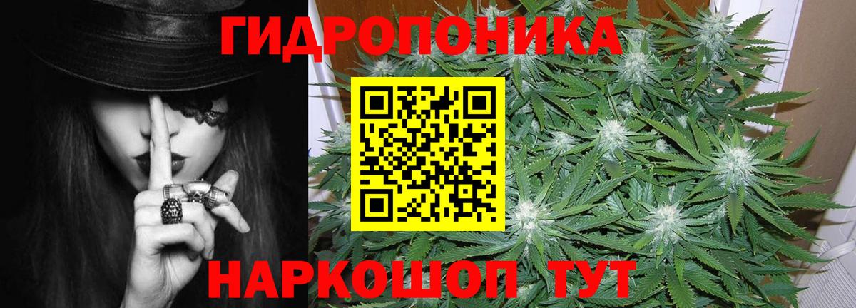 Шишки марихуана MAZAR Владивосток